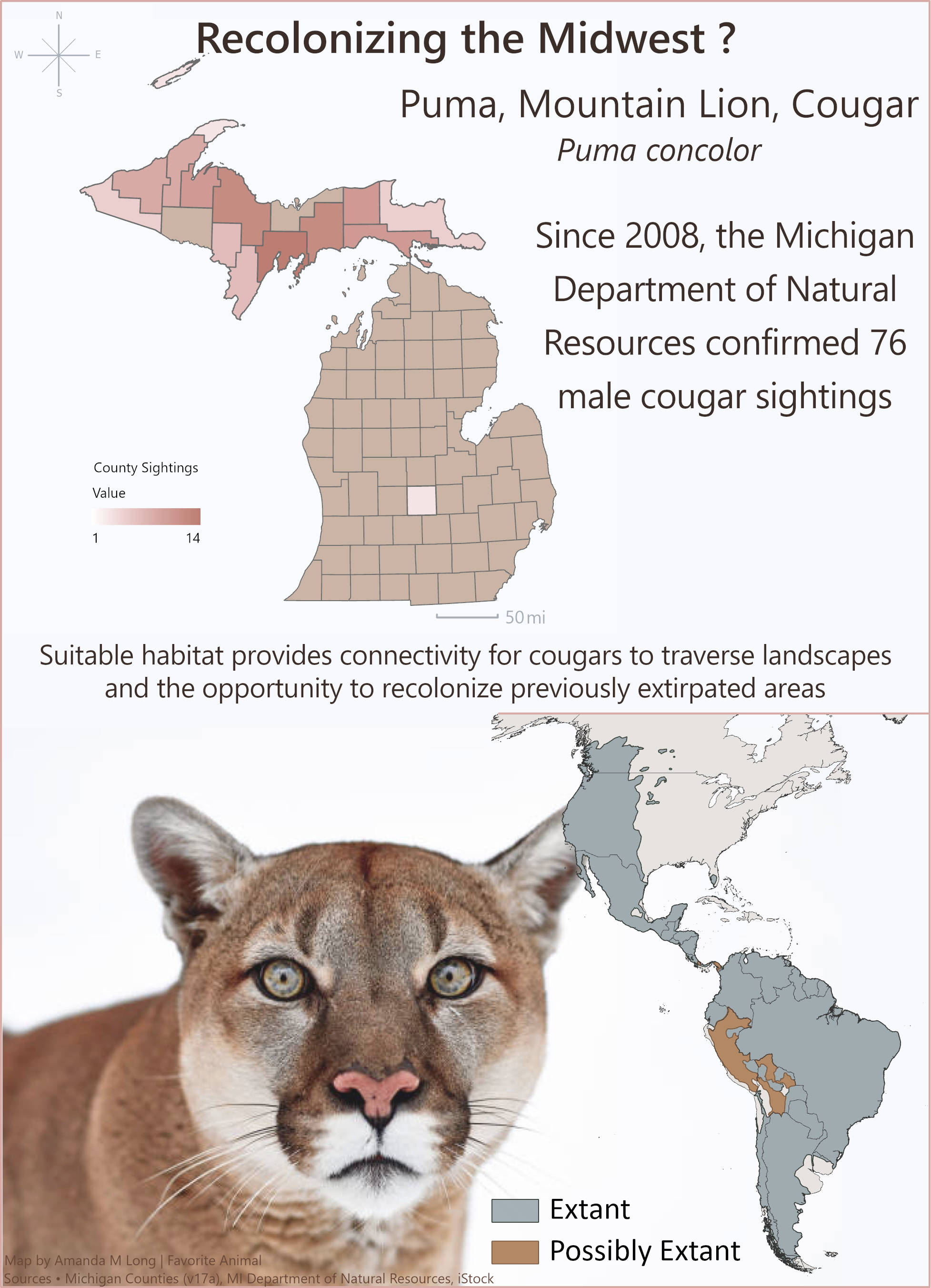 Map of Puma, or Mountain Lion, or Cougar
                                    distribution in western North America and South America. Pumas are recolonizing Michigan with 76
                                    cougar sightings since 2008.